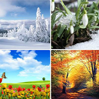 Времена года