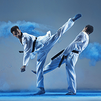 Единоборства