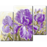 Фиолетовые ирисы