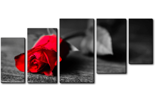 Красная роза на полу