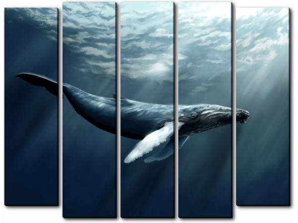 Большой кит