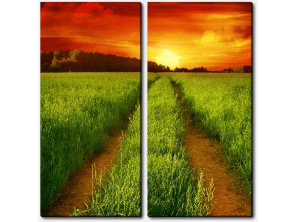 Дорога на закате