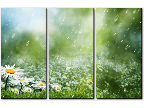 Летний дождь