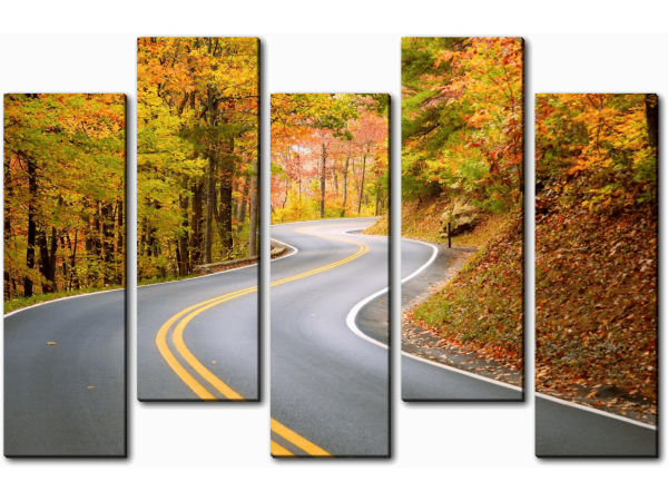 Осенняя дорога