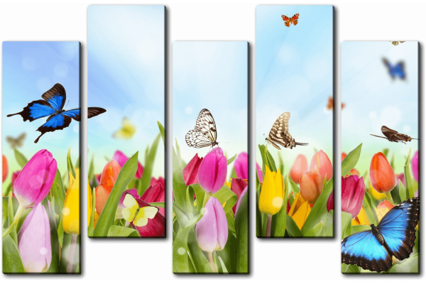 Бабочки на тюльпанах