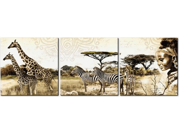 Зебры и жирафы